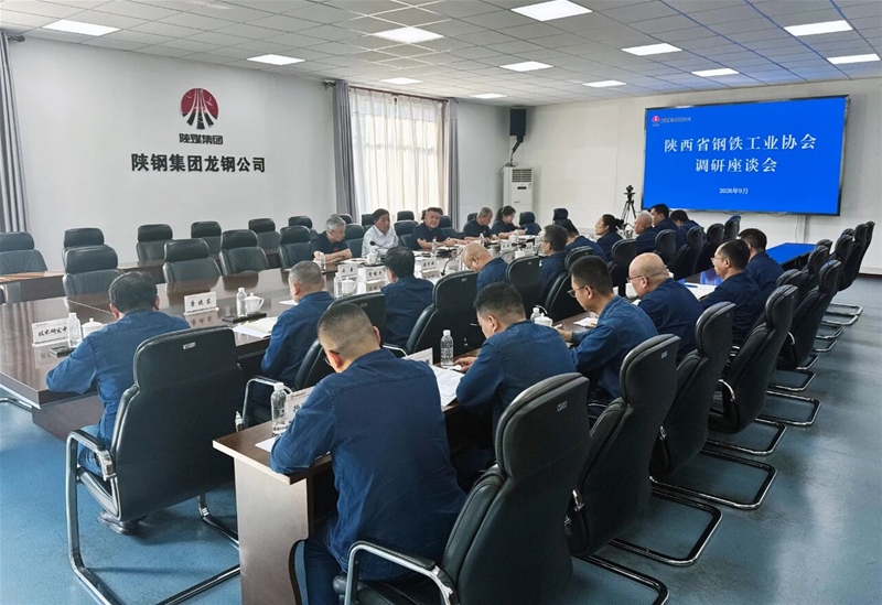 陕西省钢铁工业协会一行到龙钢公司调研指导